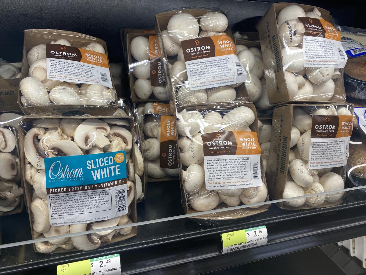 Ostrom mushrooms on sale in a Seattle grocery store.