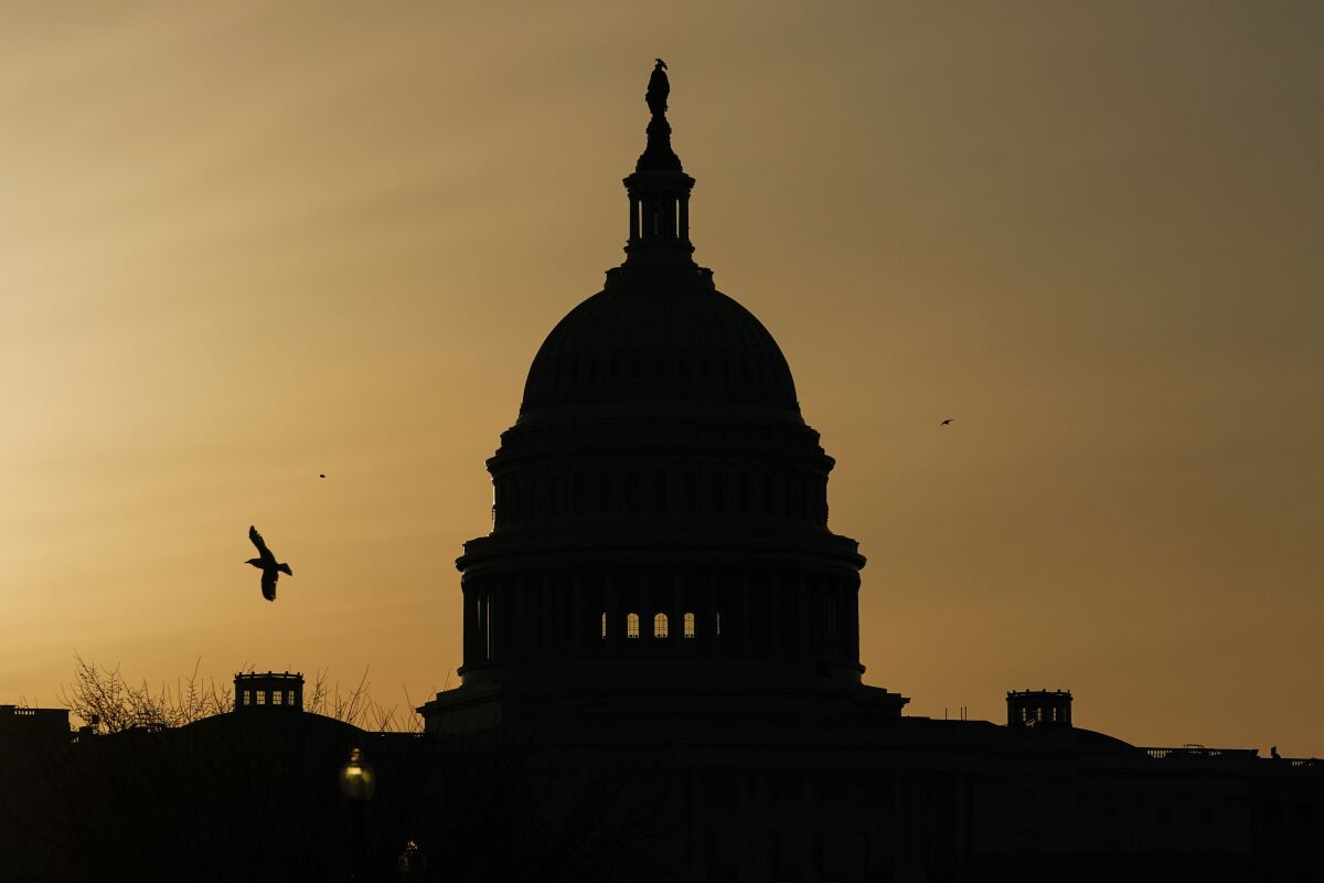 A bird flies near the U.S. Capitol dome at sunrise in Washington.
