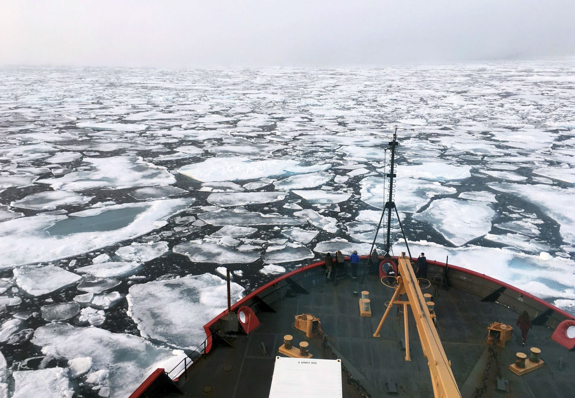 The bow of an icebreaking ship heading through a field of sea ice