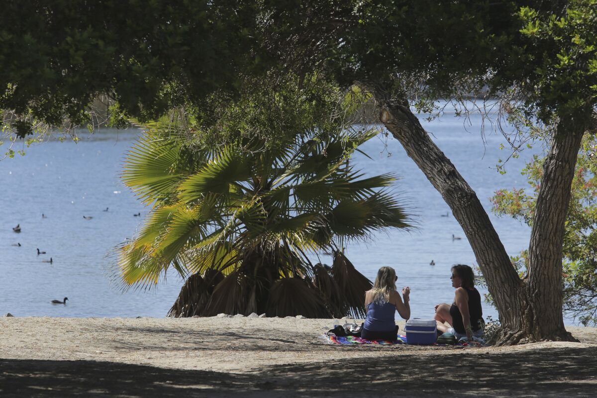 People enjoy a picnic beside Lake Murray.
