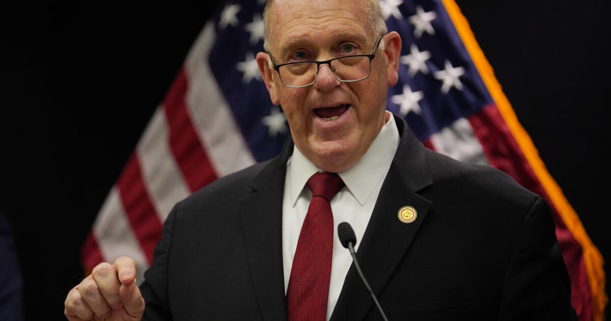 Força de segurança ‘pequena’ permanecerá em Minnesota após retirada, diz oficial de fronteira de Trump