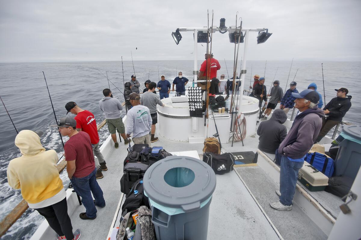 Some of the 38 anglers patiently wait for the captain to find bluefin tuna, southwest of Newport Beach in the Pacific Ocean.
