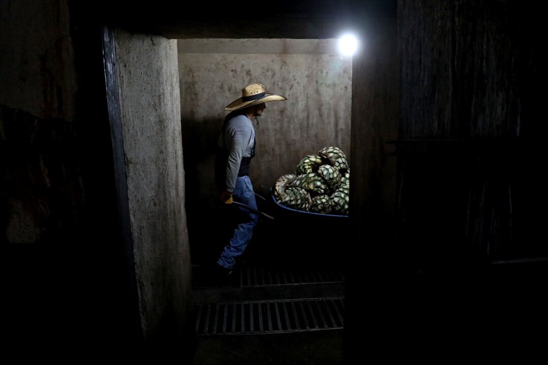 Ivan Rosario Perez Lopez loads blue agave cores to be baked by steam in an oven.