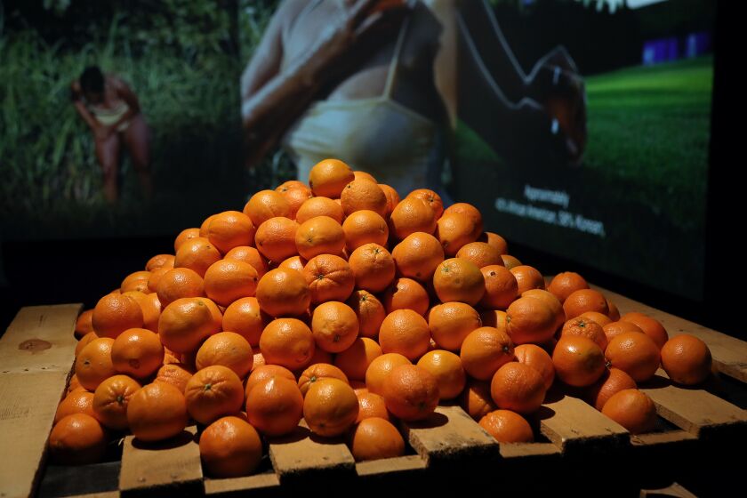 SANTA ANA, CA - August 31: Dozens of oranges placed atop a stack of ten pallets represent the artist Larissa RogersOs weight during WE'VE ALWAYS BEEN HERE, LIKE HYDROGEN, LIKE OXYGEN, at the Grand Central Art Center in Santa Ana. (Kevin Chang / TimesOC)