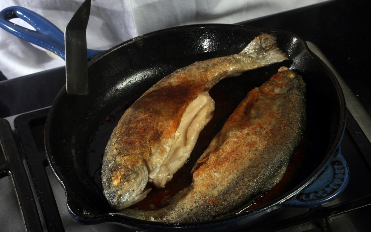 Pan fried trout