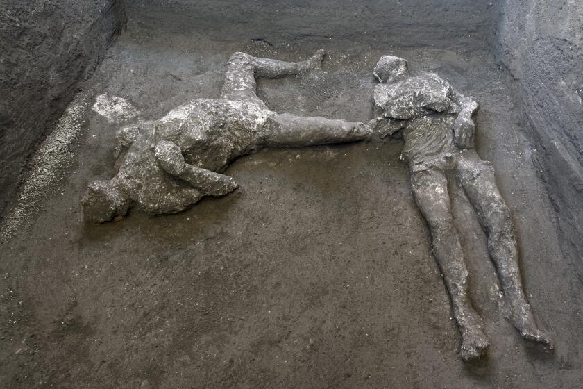 The casts of what are believed to have been a rich man and his male slave fleeing the volcanic eruption of Vesuvius nearly 2,000 years ago, are seen in what was an elegant villa on the outskirts of the ancient Roman city of Pompeii destroyed by the eruption in 79 A.D., where they were discovered during recents excavations, Pompeii archaeological park officials said Saturday, Nov. 21, 2020. (Parco Archeologico di Pompei via AP)