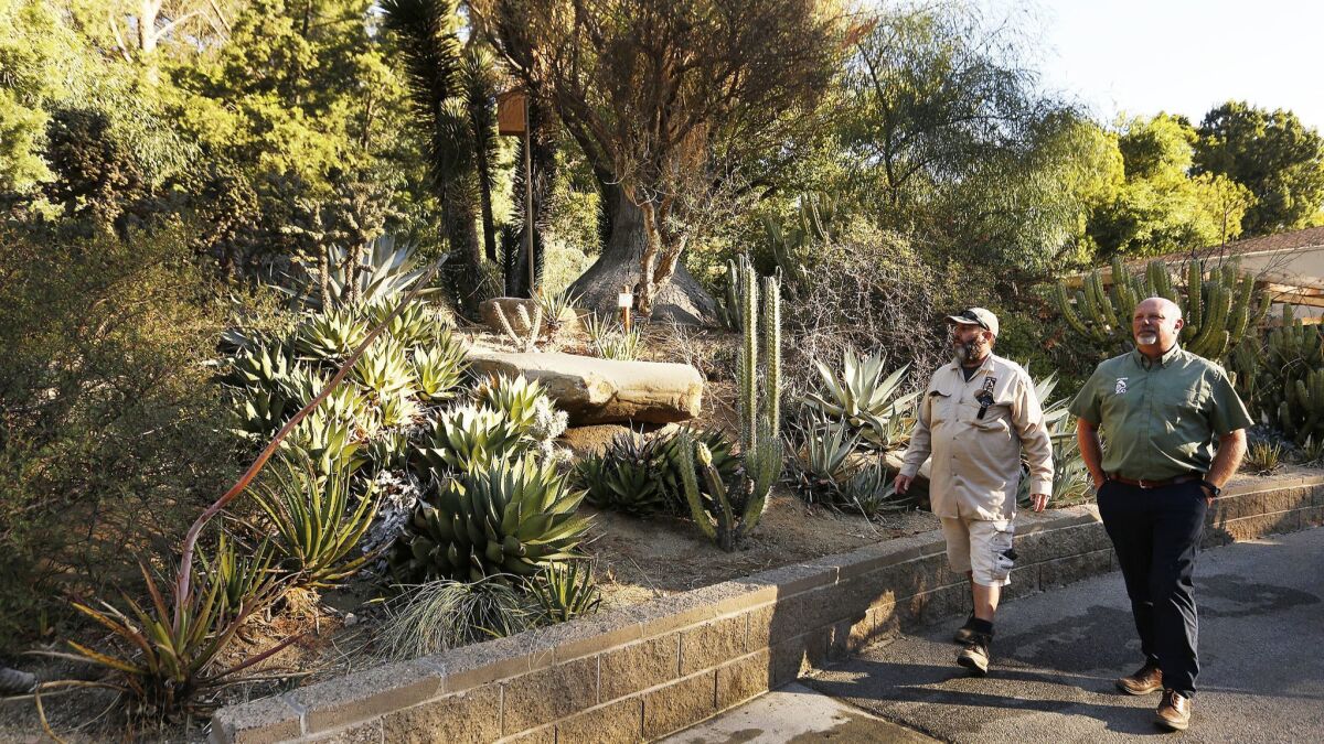 Senior gardener Andrew Lyell, left, and bird curator Mike Maxcy watch for birds in the L.A. Zoo's Baja California Garden.