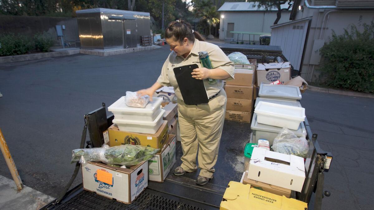 Nutritional services assistant Allison Kaastra delivers food around the zoo on her first run of the morning.