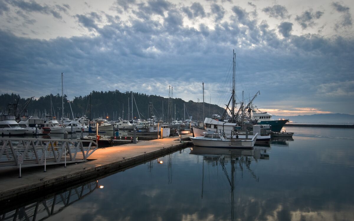 Cap Sante Boat Haven in Anacortes, Wash., which has retained its working-waterfront character.