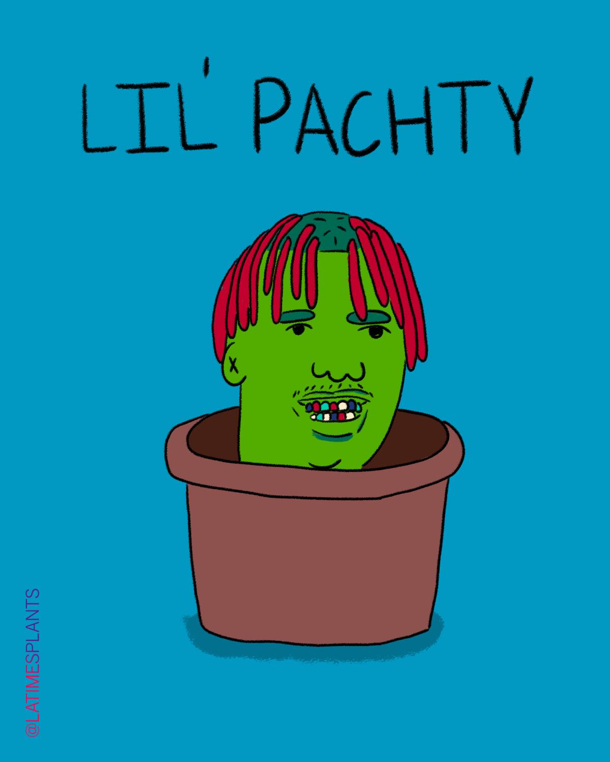 Lil' pachty