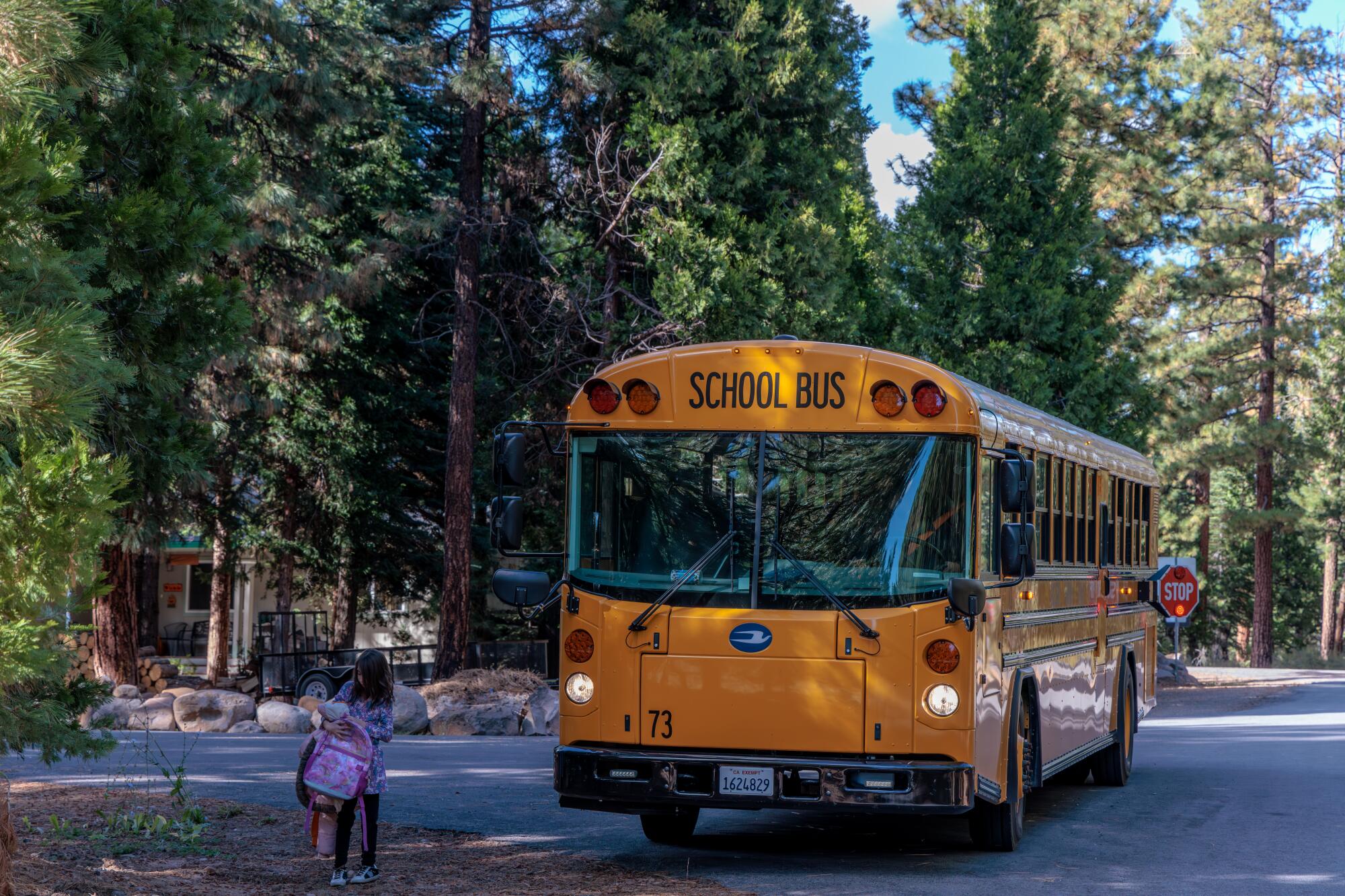 A child stands near a bus along a road through pine trees.