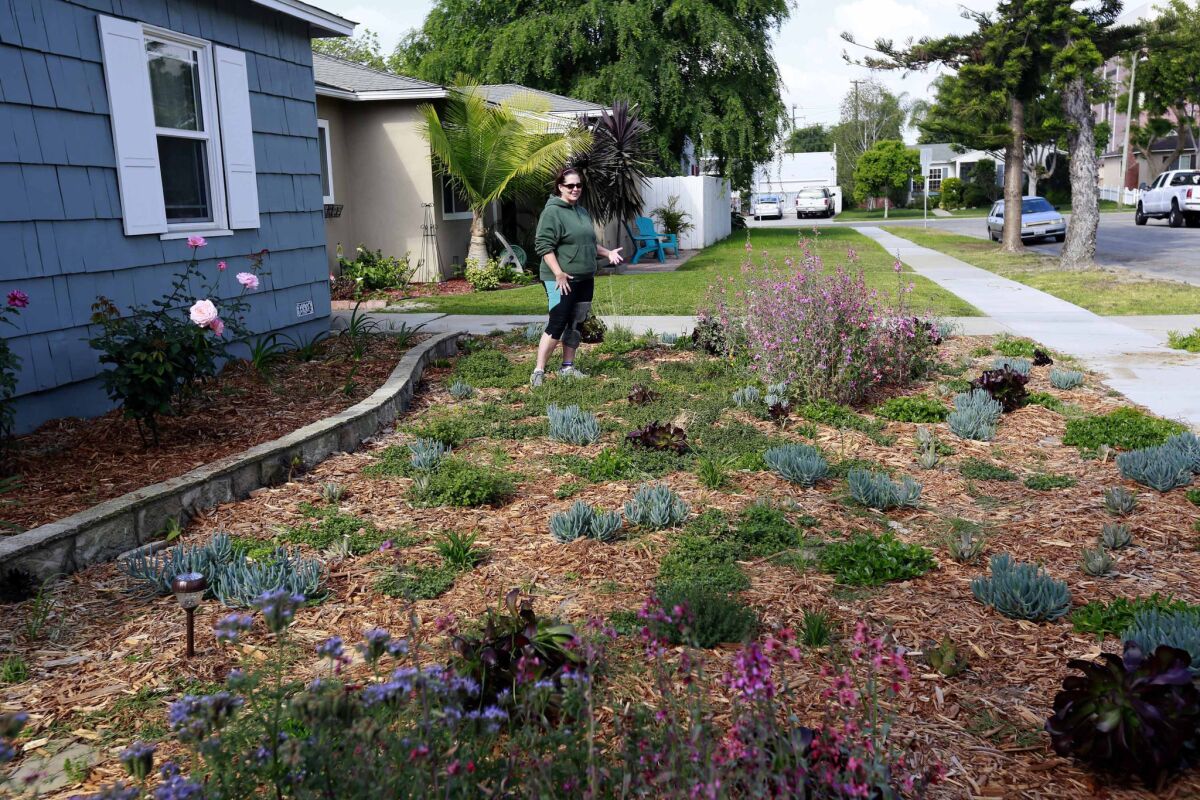 Denise Hurst of Long Beach shows the drought-tolerant garden she planted with the help of a city program that offers rebates of $3.50 per square foot for residents who tear up their water-guzzling lawns and plant drought-resistant plants. Board members of the Metropolitan Water District of Southern California voted Tuesday to add $350 million to the district's lawn-removal rebate program.