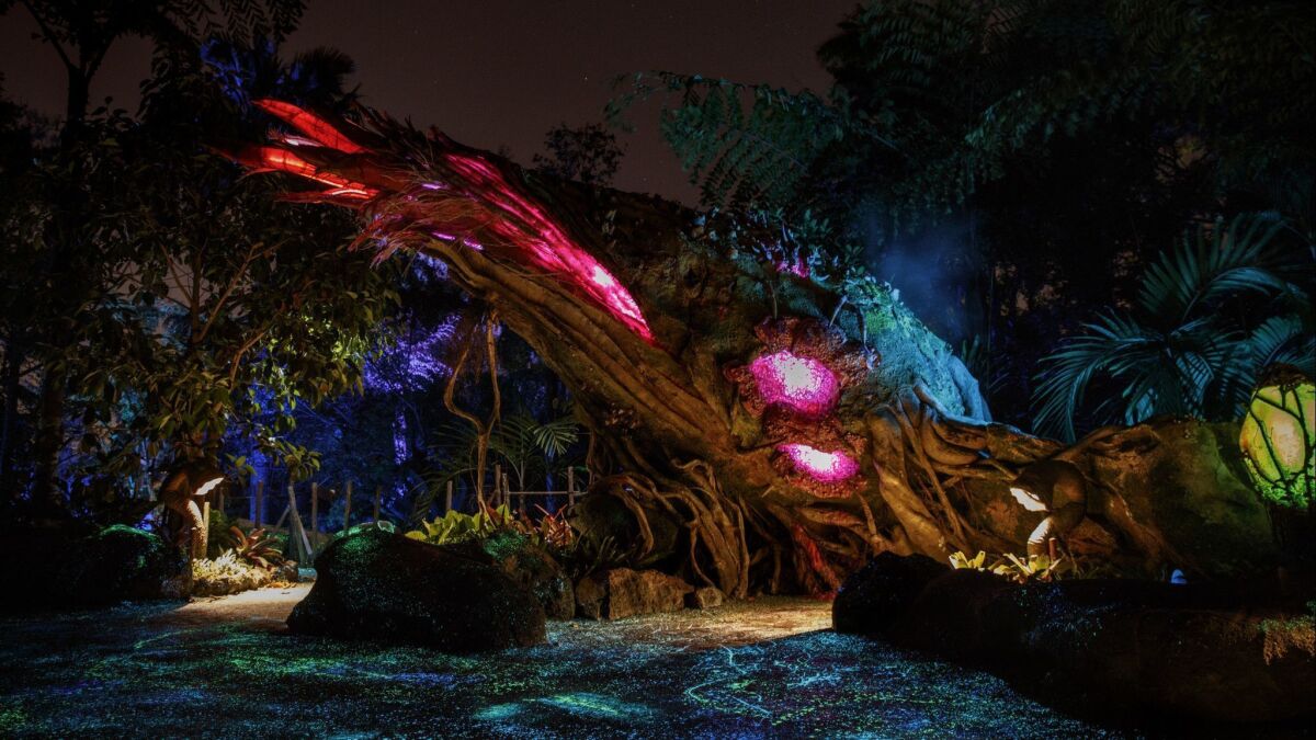 The bioluminescent forest comes to life as night falls on Pandora - the World of Avatar, inside Disney's Animal Kingdom theme park, in Orlando, FL,