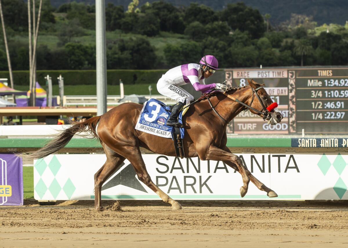 Jockey Mario Gutierrez rides Slow Down Andy to victory in the Awesome Again Stakes at Santa Anita Park.