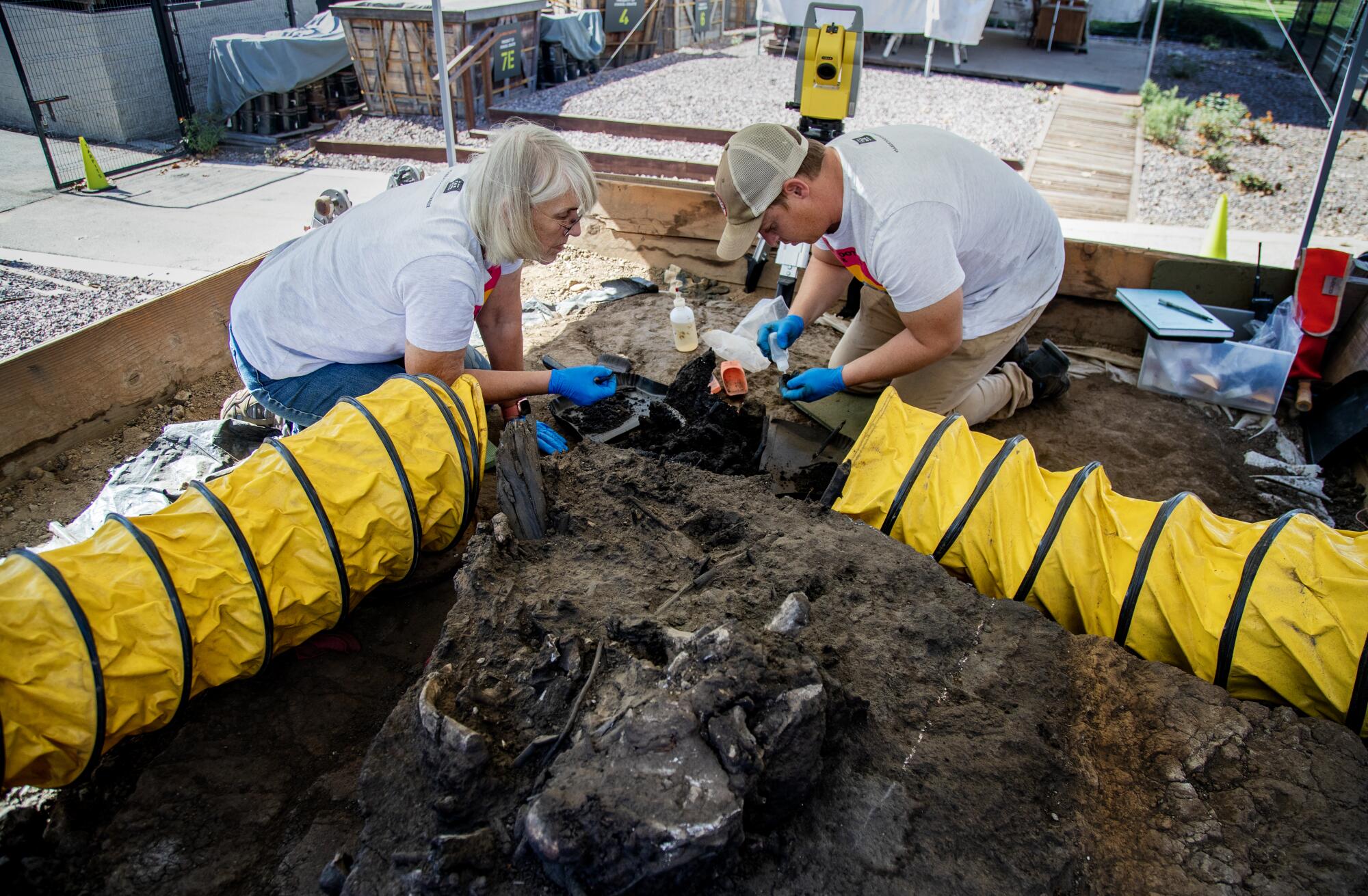 Volunteer Barbara Hill, left, and senior preparator Sean Campbell excavate fossils at the La Brea Tar Pits.