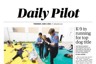 June 1, 2023 Daily Pilot cover