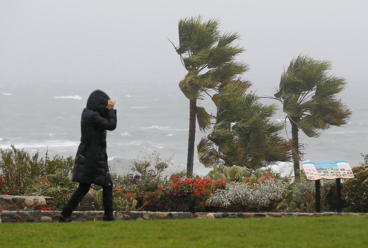 Janice Huong ducks the winds at Heisler Park during a storm in Laguna Beach.