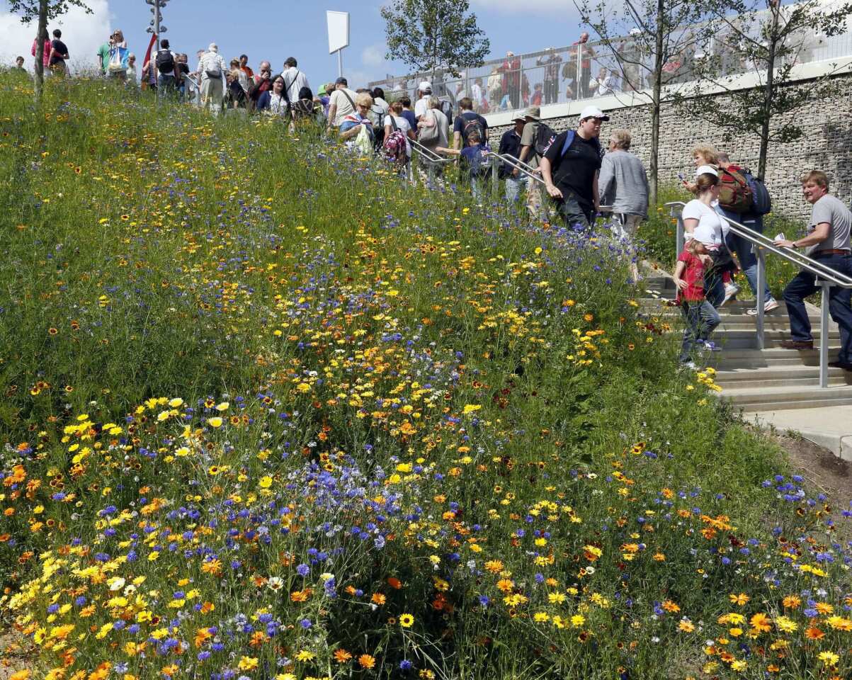 The blooming Olympic Park