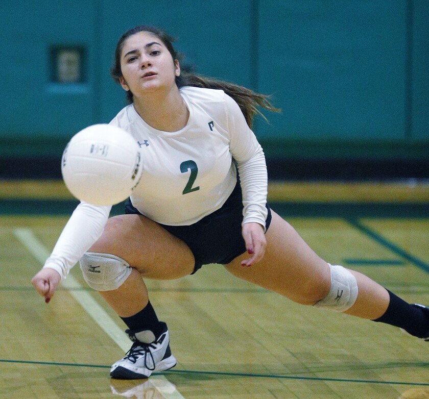 Providence Girls Volleyball Suffers League Sweep Against Pasadena Poly Los Angeles Times Providence Girls Volleyball Suffers League Sweep Against Pasadena Poly Los Angeles Times