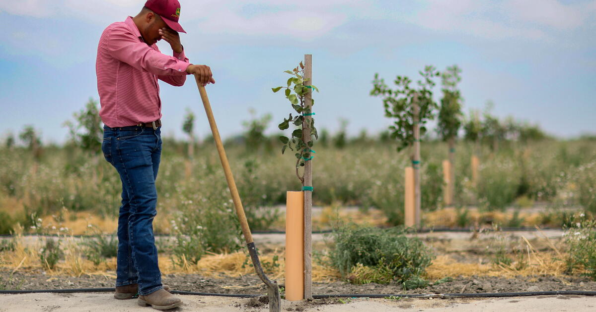 Overpumping Example Court stalls state effort to curb groundwater overpumping - Los Angeles ...