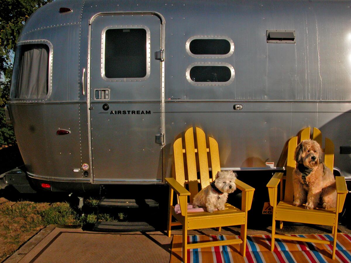 In 2009, Darby and friend Bonnie went camping! The terriers soaked up some rays outside an Airstream trailer they stayed in at Santa Cruz/Monterey Bay KOA. Read the story.
