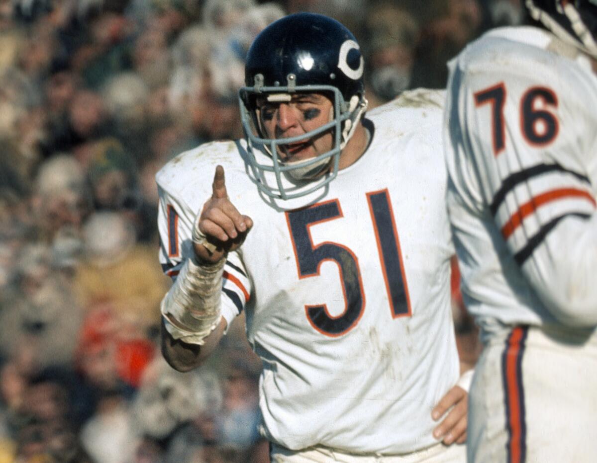 Dick Butkus, No. 51 for the Chicago Bears, in a game in 1973