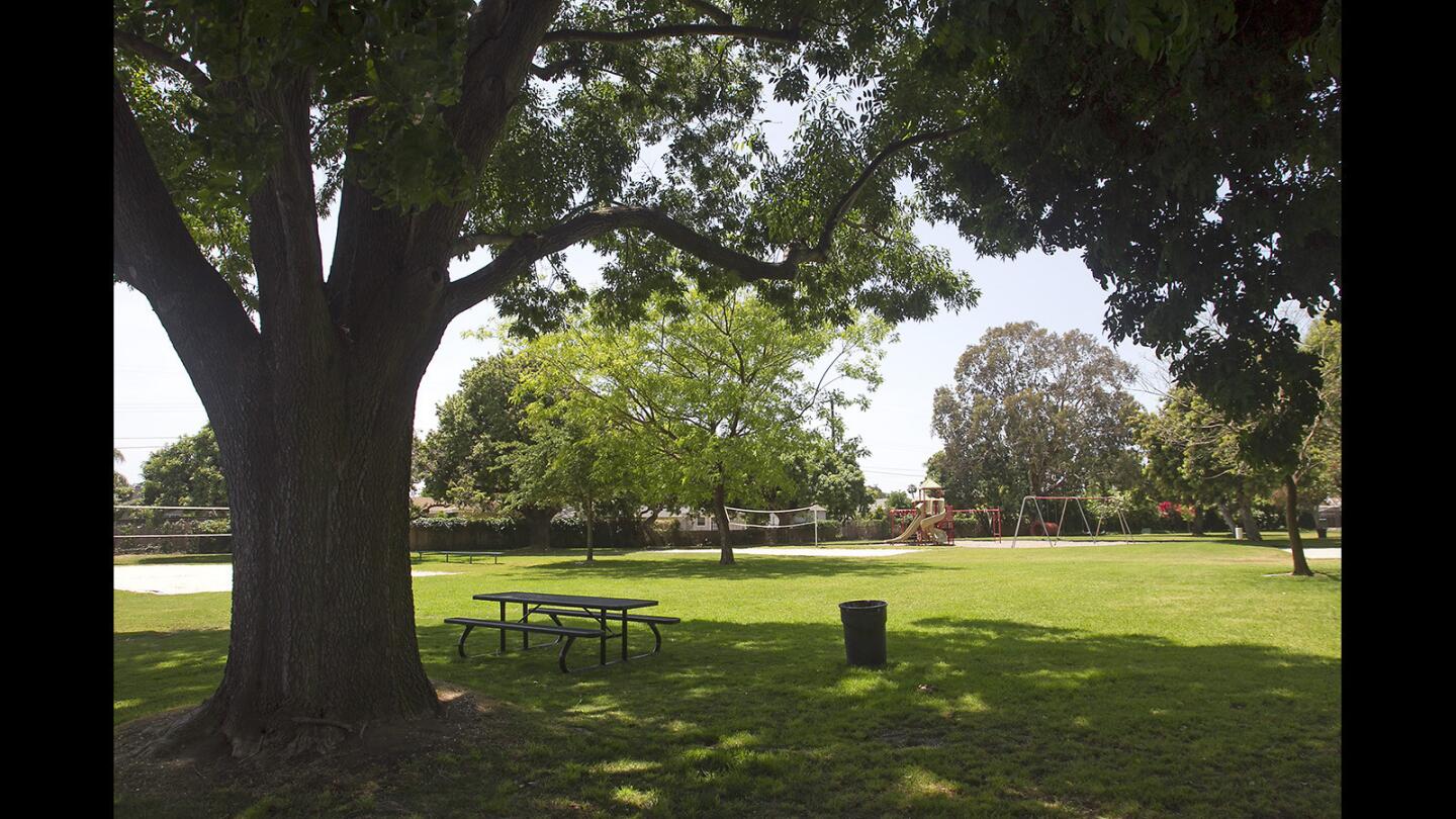 Trees provide a canopy of shade at Halecrest Park. The private, year-round park and event facility in Costa Mesa is celebrating its 60th anniversary this year.