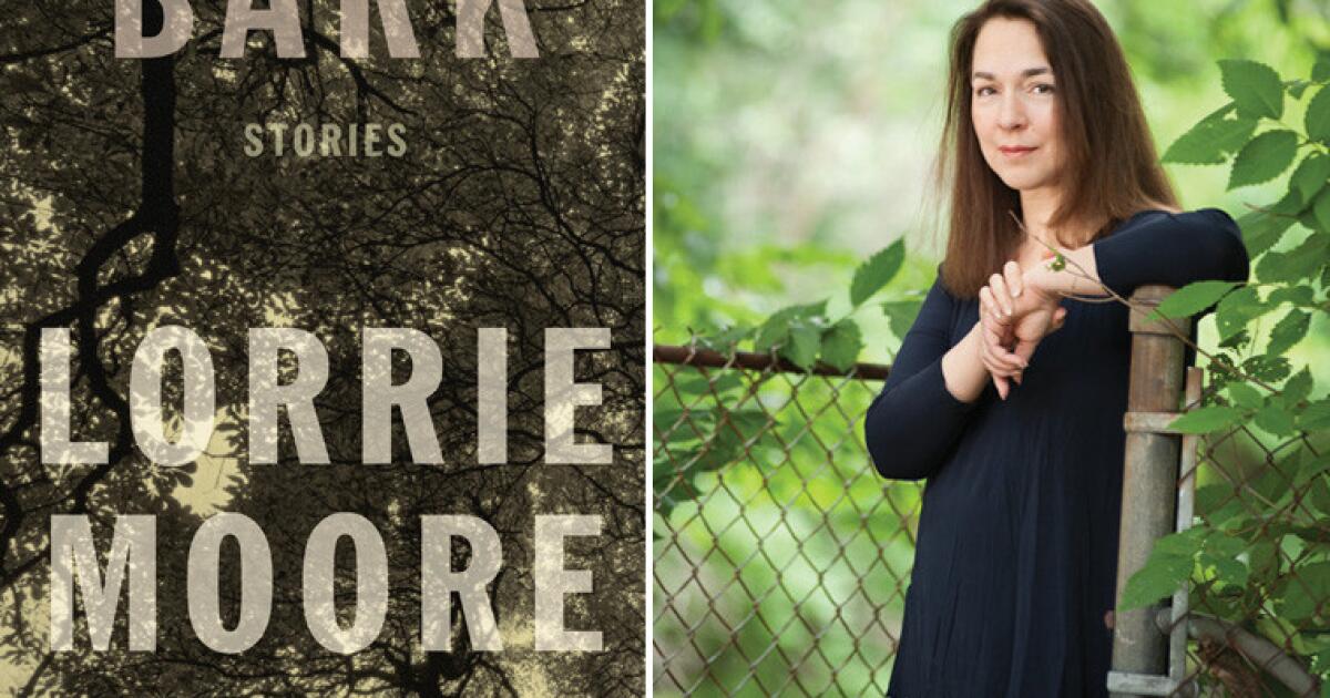 Face Time,” by Lorrie Moore