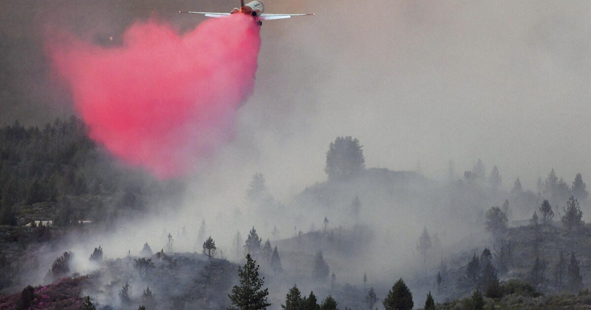 Salt Point Fire Salt fire explodes overnight as Lava fire grows - Los Angeles Times