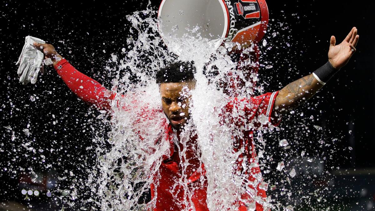 Angels' Eric Young Jr. is doused with sports drink after driving in the winning run in the 11th inning against the New York Yankees on June 13.
