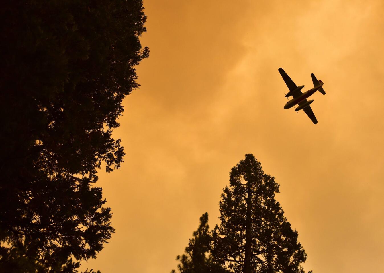 French fire in Sierra National Forest