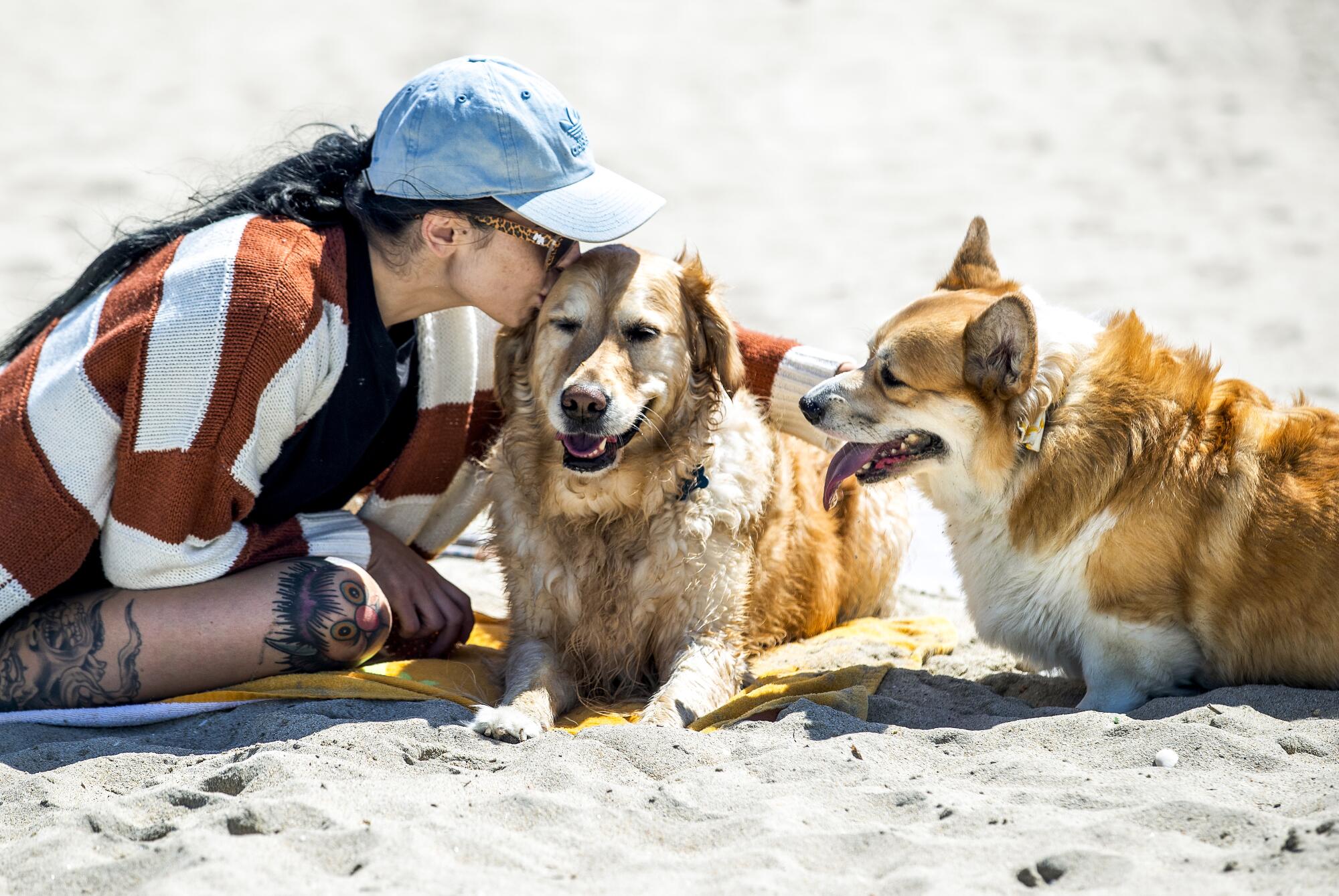 A woman with two dogs on the sand