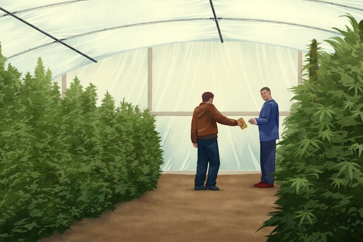 An illustration of a tent with shrubs inside. A person hands something to another person.