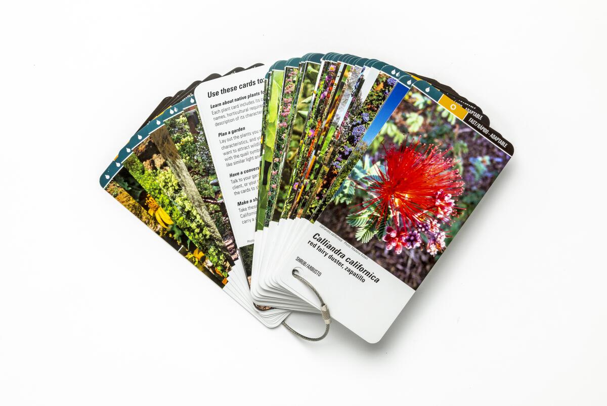 Learn Native Plants Flash Cards