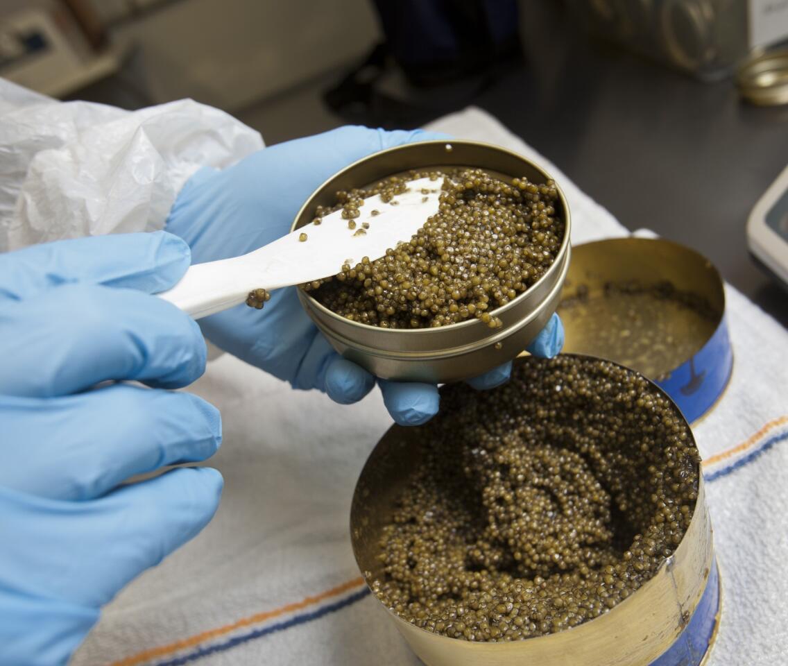Caviar ready for consumption is packaged at Sterling Caviar in Elverta, Calif. It is the largest caviar producer in the United States.