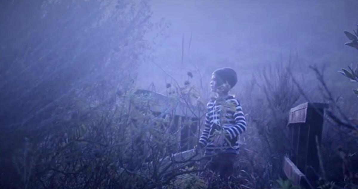 A still from Lucas Pierce's film "Lost", which takes place in the Torrey Pines Reserve Extension.