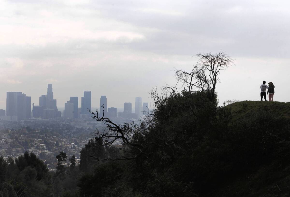A walk along North Vermont Canyon and Commonwealth Canyon Drive yields fine views of downtown Los Angeles. This year, for the first time, native-born residents of L.A. County will outnumber those who moved here, a new report says.