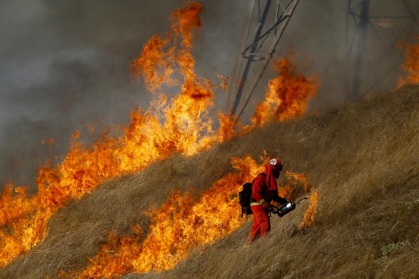 HEALDSBURG, CALIF. - OCT. 26, 2019. A firefighter sets a back fire in the hills above Healdsburg on Saturday, Oct. 26, 2019. Firefighters cleared potential fuel for the Kincade fire ahead of predicted strong nighttime winds that could strengthen a blaze that has charred more than 22,000 acres in Sonoma County since it started three days ago. (Luis Sinco/Los Angeles Times)
