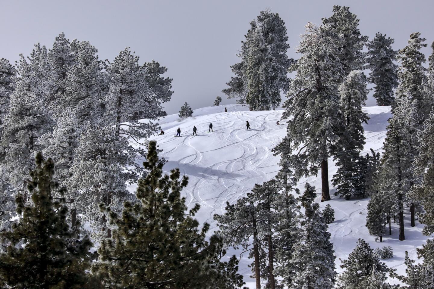 Snow level drops to low elevations around Southland