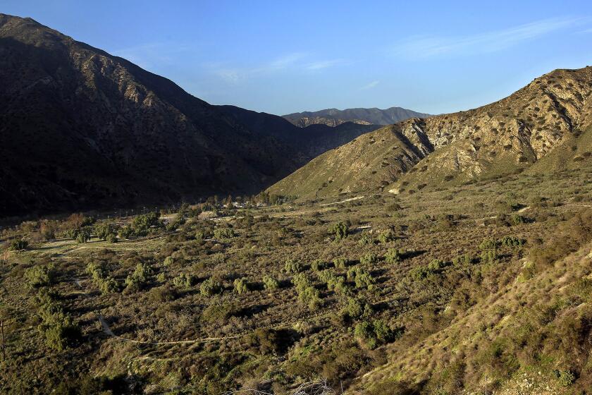 The mountain-lined stretch off of Big Tujunga Canyon Road.