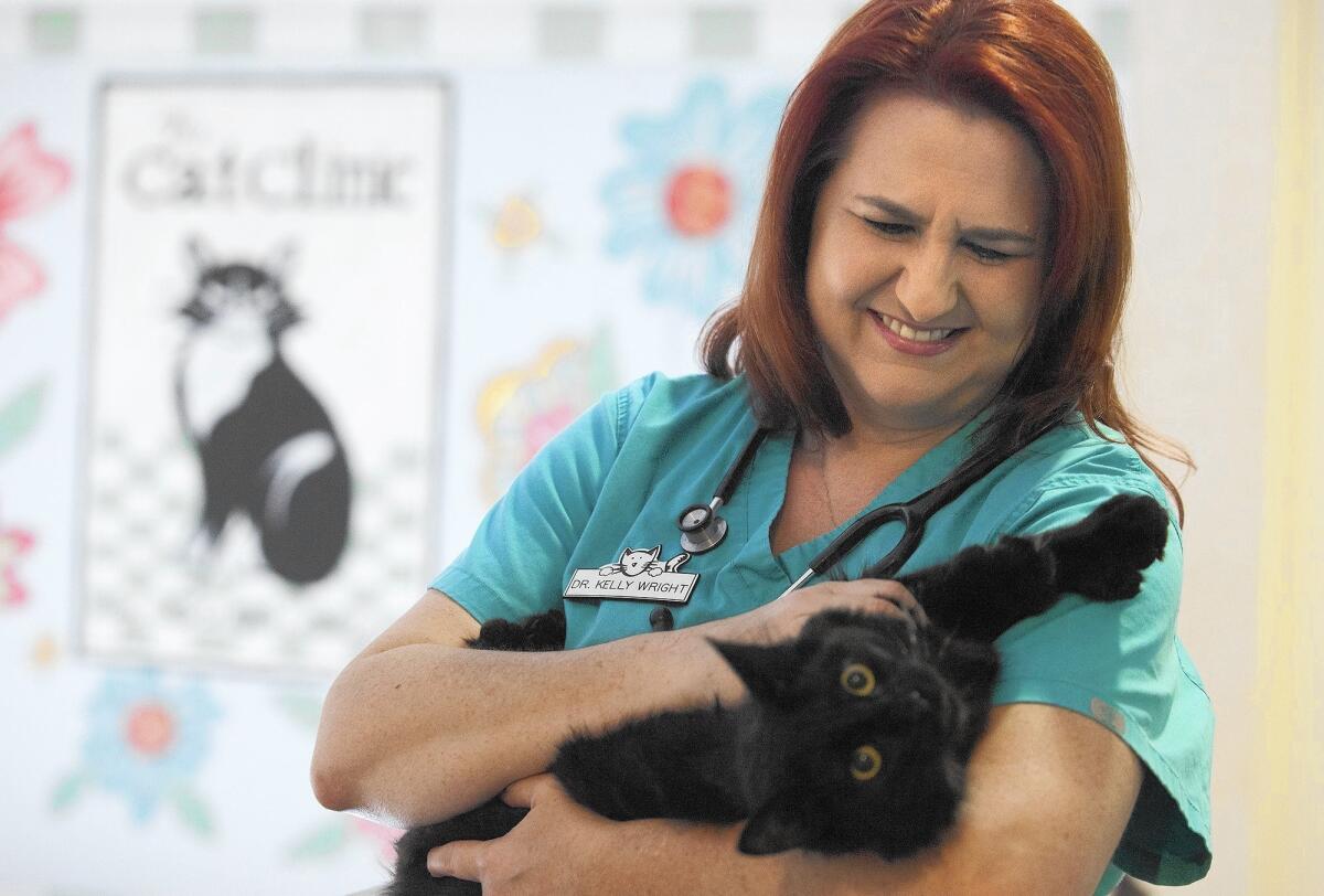 Dr. Kelly Wright plays with Danny as she poses for portrait at the Cat Clinic of Orange County in Costa Mesa. The clinic on Tustin Avenue is a full-service medical center and boarding facility just for cats.