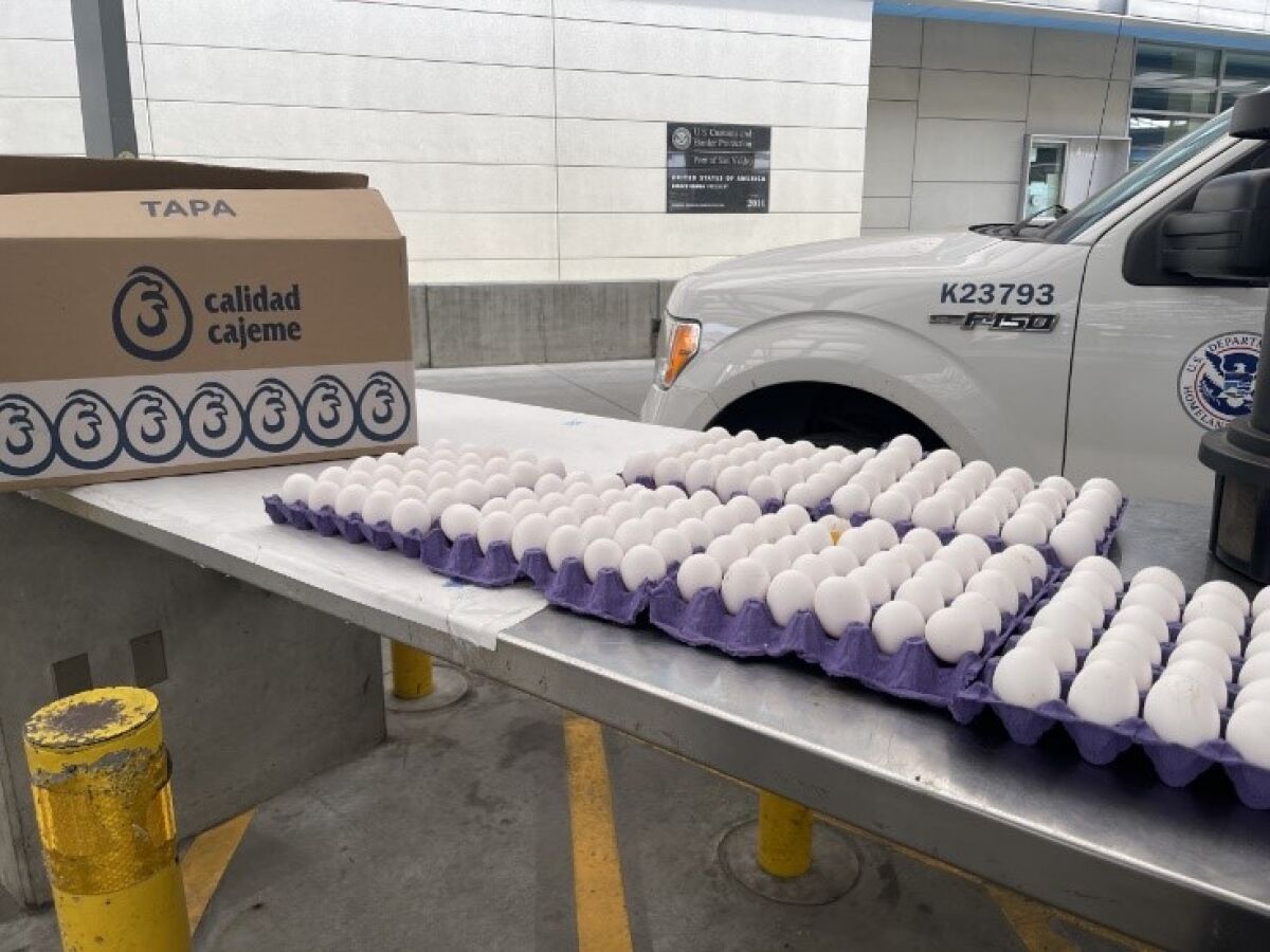 Eggs seized by U.S. Customs and Border Protection