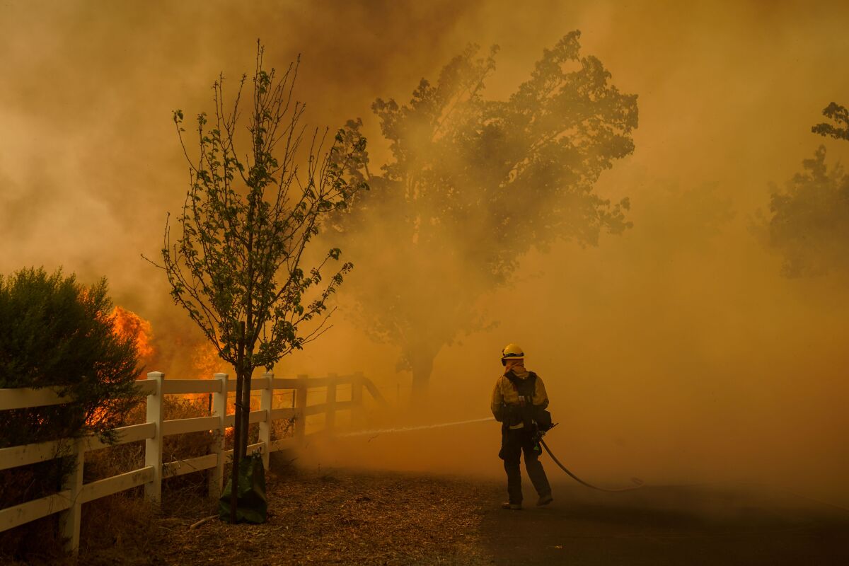 A firefighter wielding a hose fights the Hennessy Fire in Vacaville on Aug. 19.