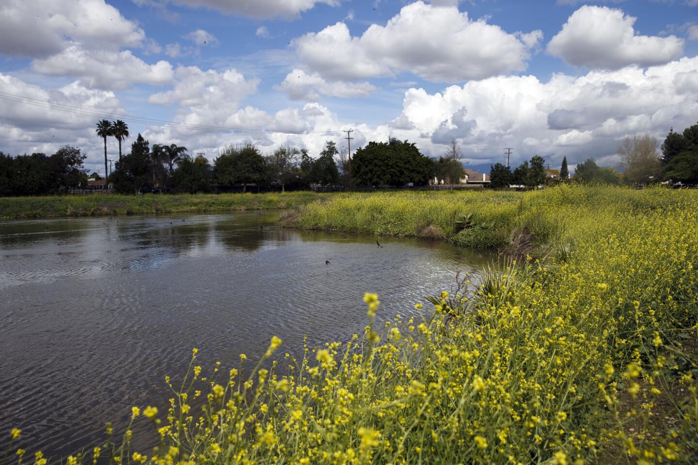 Capturing storm water