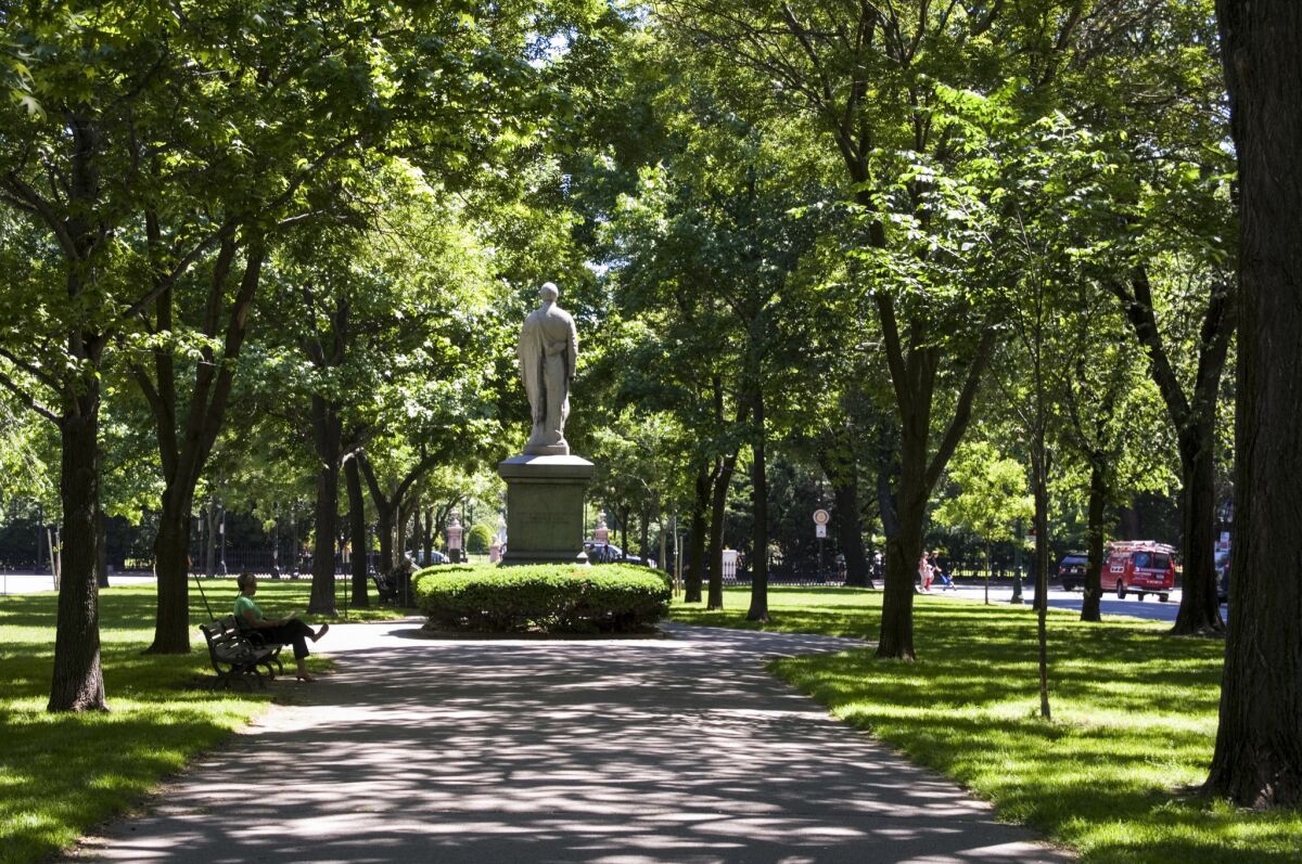 The tree-lined central mall of Commonwealth Avenue in Boston.