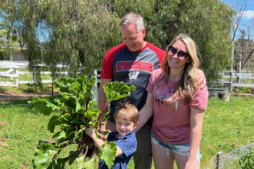 Legend Dzbinkski proudly shows off a large beet he helped harvest to his father, Cory Dzbinski and mother, Carissa Ultsch.