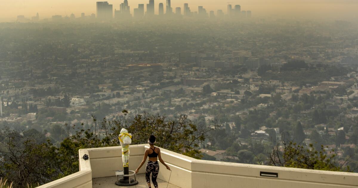 Dementia risk grows with increased exposure to air pollution, study finds Dementia risk grows with increased exposure to air pollution, study finds