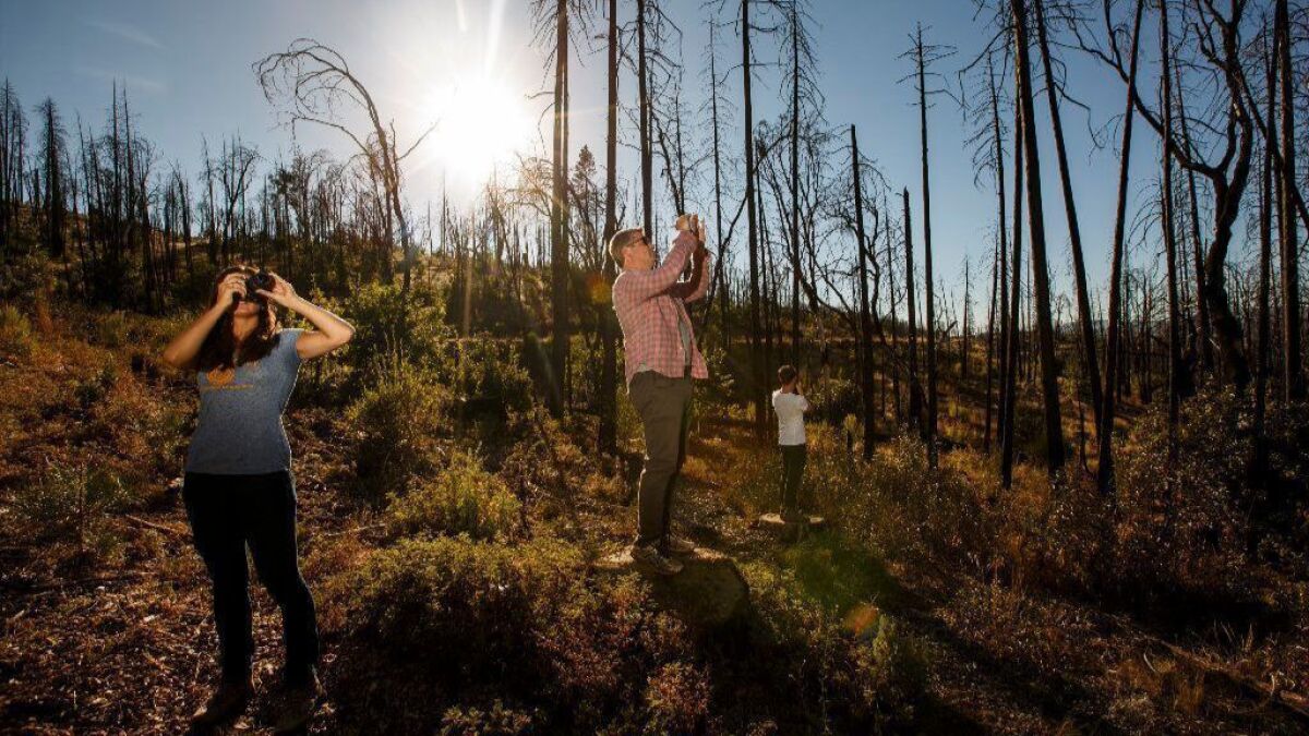 Leigh Madeira, left, and Zach Knight, center, two founders of Blue Forest Conservation, tour an area near Yosemite National Park scorched by the 2013 Rim Fire.