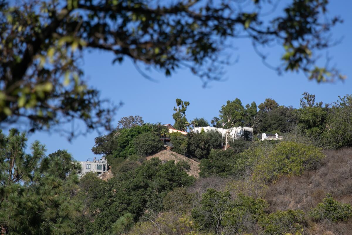 Shrubs, trees and a couple of structures on a hillside against a blue sky, framed by tree branches in the foreground