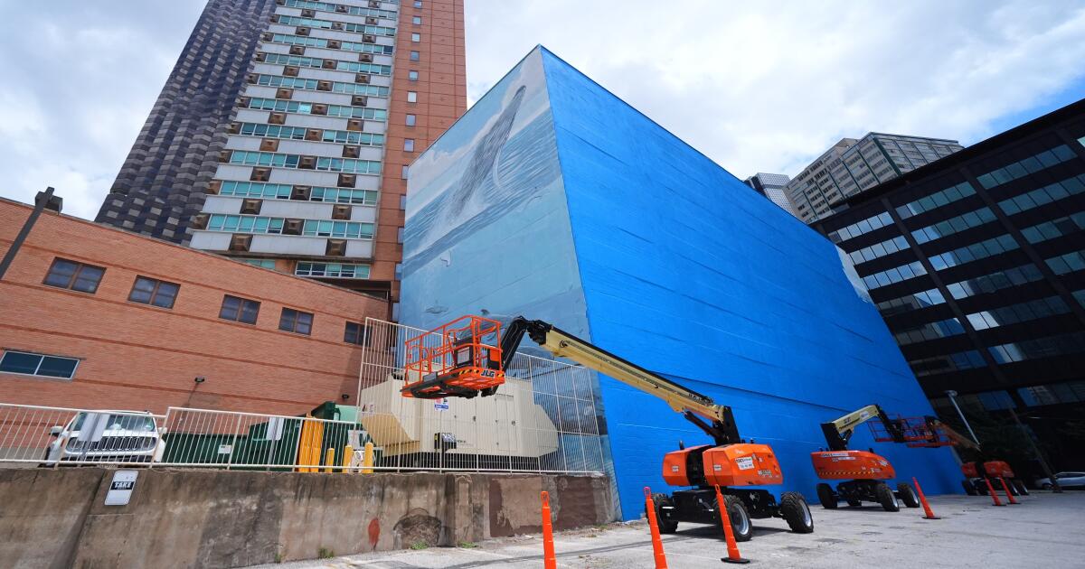 Un artiste poursuit la FIFA pour la destruction de la fresque murale des baleines de Dallas avant la Coupe du monde